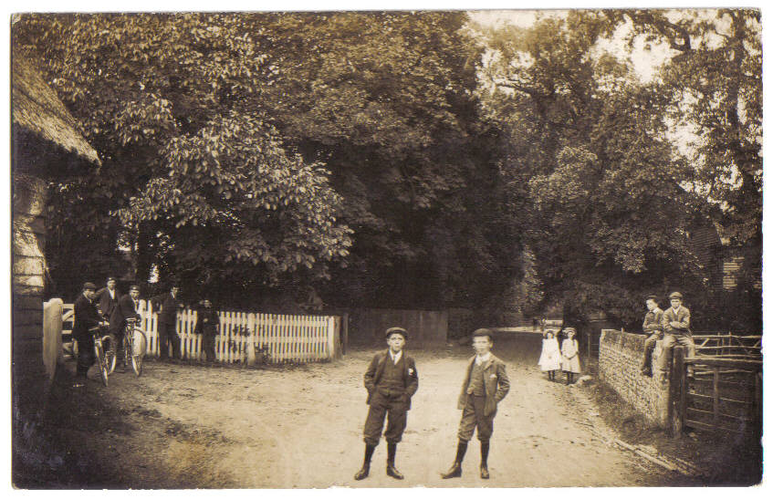 Mystery Photographs - Berengrave Lane Rainham 1900s